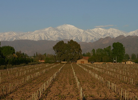 Uco Valley, Mendoza, Argentina. Photo: Eddy Ancinas